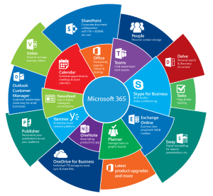 Read more about the article Sự khác biệt giữa Microsoft 365 Business | Standard vs Premium